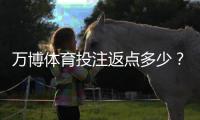 万博体育投注返点多少？新手必看：返点比例、计算方法与领取攻略