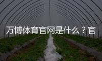 万博体育官网是什么？官方入口、注册登录与安全使用全攻略