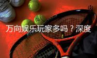 万向娱乐玩家多吗？深度解析平台人气与玩家活跃度