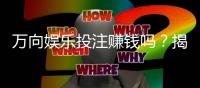万向娱乐投注赚钱吗？揭秘真实收益与实战技巧