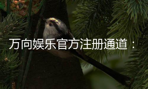 万向娱乐官方注册通道：快速开户与游戏体验全攻略