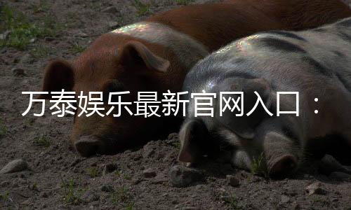 万泰娱乐最新官网入口：畅享顶级棋牌电游的尊贵体验