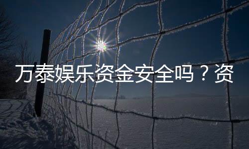 万泰娱乐资金安全吗？资深玩家解析平台资金保障措施