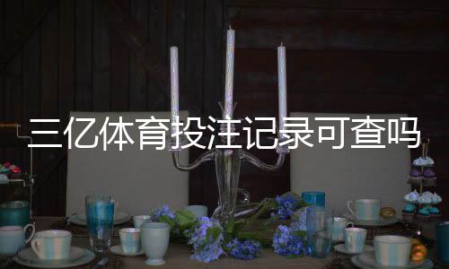 三亿体育投注记录可查吗？官方与第三方查询方法及隐私法律风险解析