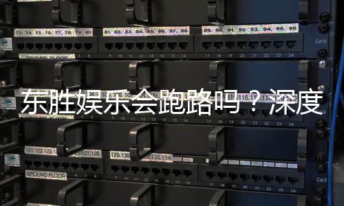 东胜娱乐会跑路吗?深度解析平台安全性与玩家应对策略