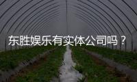 东胜娱乐有实体公司吗？实地探访其线下运营与资质详情