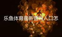 乐鱼体育最新官网入口怎么进入？2026最新版访问教程、安全登录与常见问题汇总