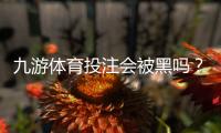 九游体育投注会被黑吗？真相揭秘与用户防护全攻略