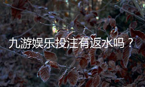 九游娱乐投注有返水吗？返水政策、计算方法与新手领取攻略