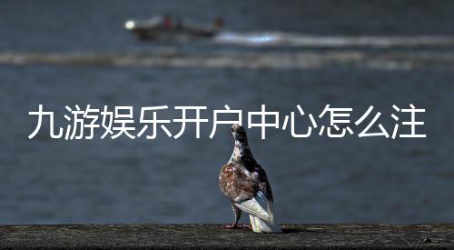 九游娱乐开户中心怎么注册？新手图文教程、账号安全与常见问题快速解决