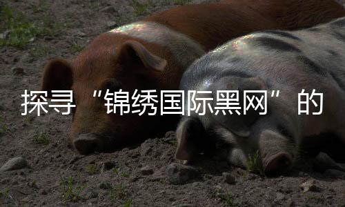 探寻“锦绣国际黑网”的魅力与神秘