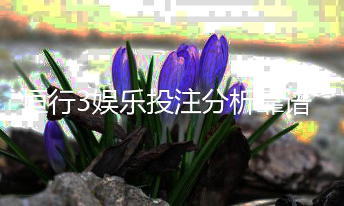 恒行3娱乐投注分析靠谱吗？深度测评其安全性与玩家体验