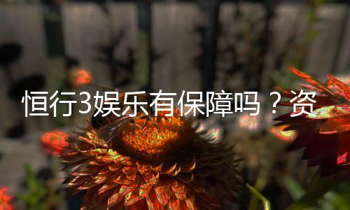 恒行3娱乐有保障吗?资深玩家揭秘平台安全性与游戏体验