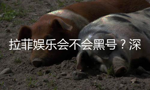 拉菲娱乐会不会黑号?深度解析平台安全性与防黑技巧