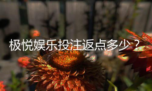 极悦娱乐投注返点多少？高返水福利与实战技巧解析
