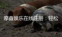 摩鑫娱乐在线注册：轻松完成开户畅享顶级游戏体验