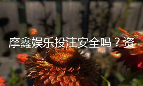 摩鑫娱乐投注安全吗？资深玩家解析平台保障与风险管控