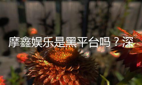 摩鑫娱乐是黑平台吗?深度解析其真实性与玩家体验