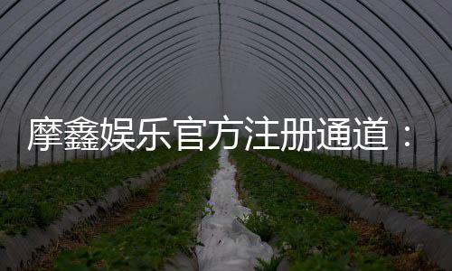摩鑫娱乐官方注册通道：轻松开启您的豪华游戏之旅