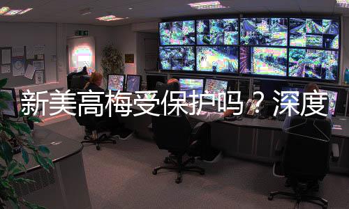 新美高梅受保护吗?深度解析其安全性与玩家保障措施