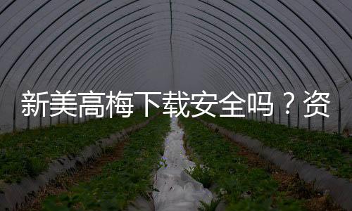 新美高梅下载安全吗？资深玩家实测解析平台安全性
