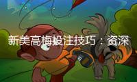 新美高梅投注技巧：资深玩家分享实战盈利策略