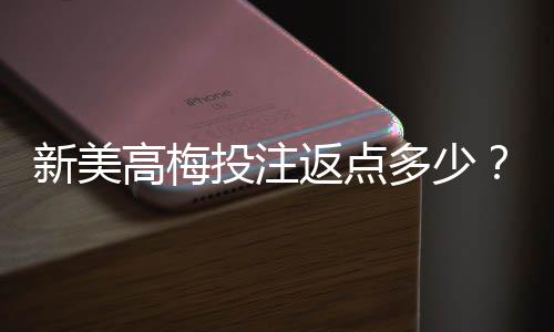 新美高梅投注返点多少？揭秘高返水优惠与实战技巧