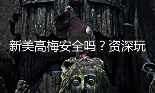 新美高梅安全吗？资深玩家解析平台可靠性与游戏体验