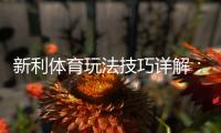新利体育玩法技巧详解：新手入门、投注技巧与实战攻略