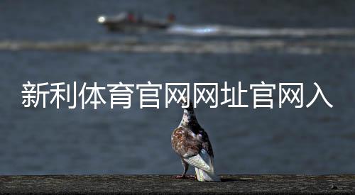 新利体育官网网址官网入口2026:最新登录地址、注册充值与安全使用全攻略
