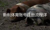 新利体育账号注册流程详解：新手快速完成开户与实名认证