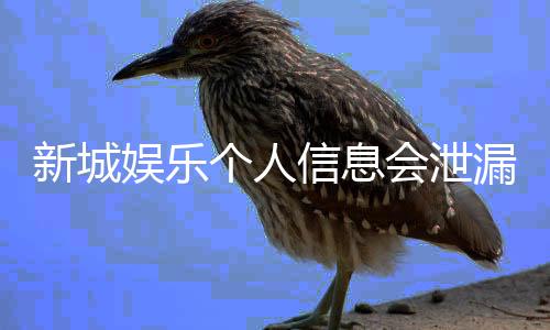 新城娱乐个人信息会泄漏吗？深度解析平台安全防护措施