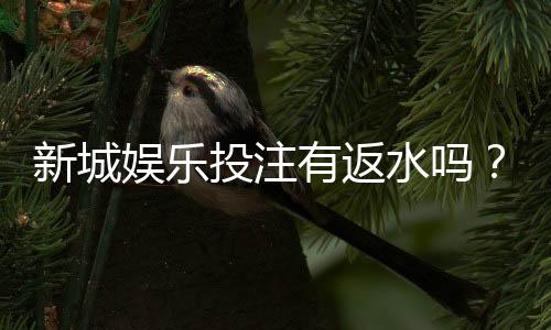 新城娱乐投注有返水吗？揭秘返水规则与高回报技巧