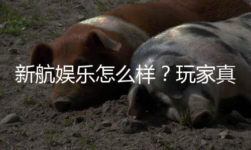 新航娱乐怎么样？玩家真实体验与平台优势解析