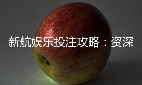 新航娱乐投注攻略:资深玩家教你稳赢技巧与实战策略