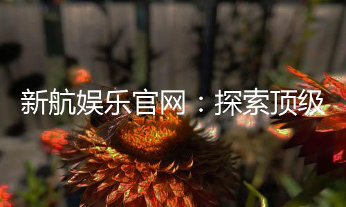 新航娱乐官网:探索顶级电子游艺的精彩世界