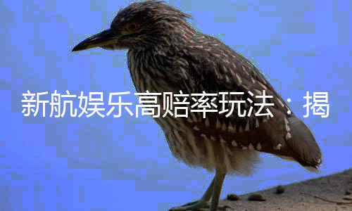 新航娱乐高赔率玩法：揭秘稳赢技巧与高回报策略