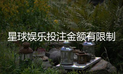 星球娱乐投注金额有限制吗？详解平台规则与额度调整技巧