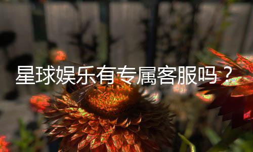 星球娱乐有专属客服吗?为您揭秘VIP一对一服务体验
