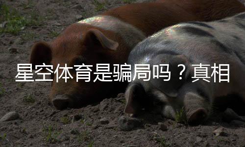 星空体育是骗局吗？真相揭秘与新手防骗攻略