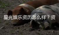 星光娱乐资历怎么样？资深玩家带你了解平台实力与背景