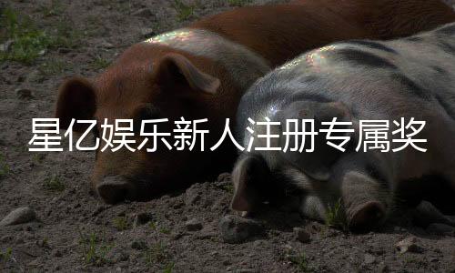 星亿娱乐新人注册专属奖励：首存礼包与高额返利等你拿