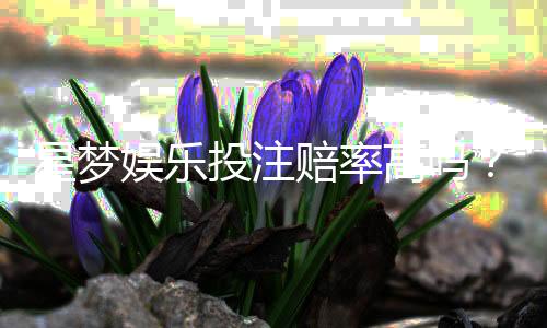 星梦娱乐投注赔率高吗？深度解析其赔率优势与玩家体验
