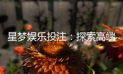 星梦娱乐投注：探索高端博彩体验与赢利秘籍