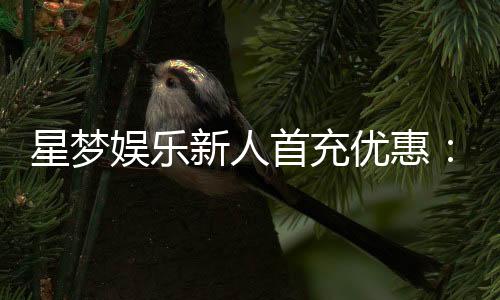 星梦娱乐新人首充优惠：首存即送豪礼注册立享三重福利