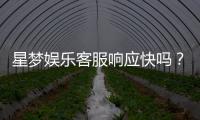星梦娱乐客服响应快吗？实测体验告诉你答案