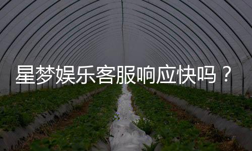 星梦娱乐客服响应快吗？实测体验告诉你答案