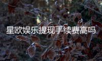 星欧娱乐提现手续费高吗？资深玩家解析费用详情与优化策略