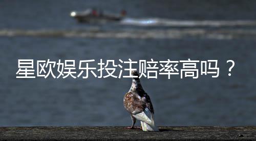 星欧娱乐投注赔率高吗？资深玩家揭秘真实回报率与技巧