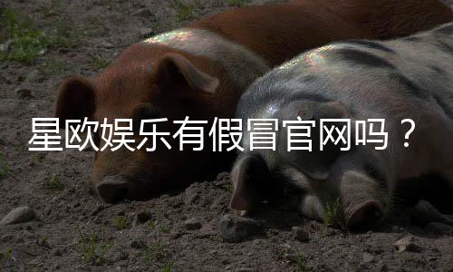 星欧娱乐有假冒官网吗？教你识别正规平台与防骗技巧